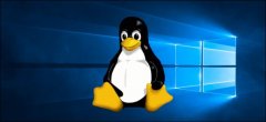 Windows10 2004版有哪些新功能？（3）